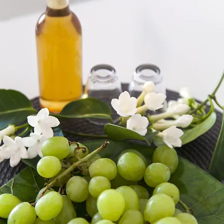 Elychryson Апарт-готель