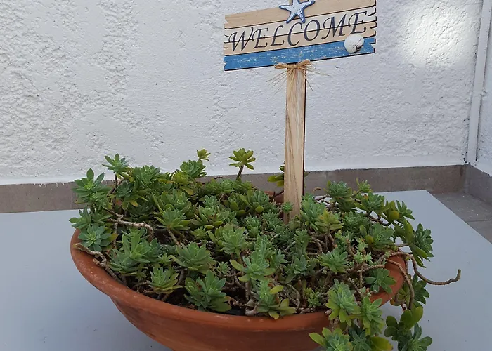 Aparthotel Elychryson Hersonissos (Crete)