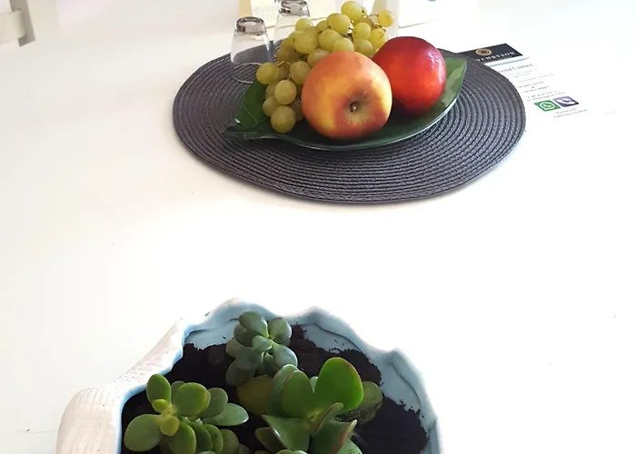 Elychryson 3* Херсонісос