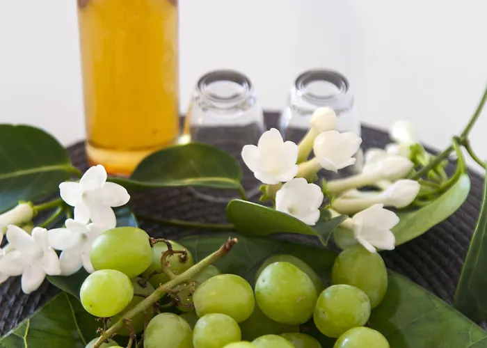 Elychryson Апарт-готель